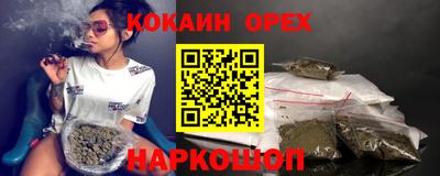 гашик Новозыбков