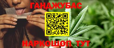 соль ск Новодвинск