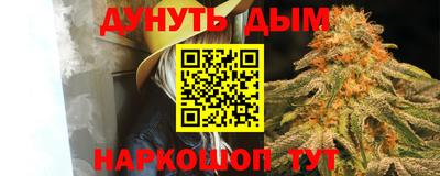 гашик Новозыбков