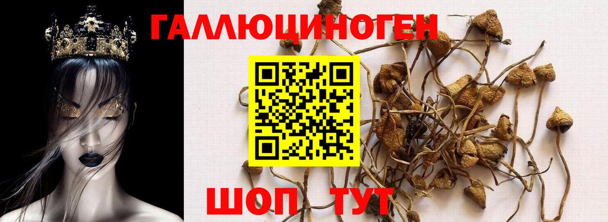 Галлюциногенные грибы GOLDEN TEACHER Новый Уренгой